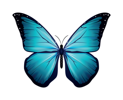 blue real butterfly