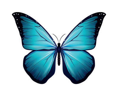 blue real butterfly blue real butterfly
