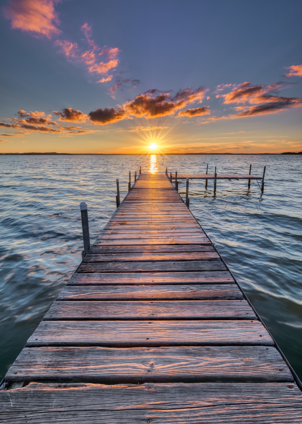 photo-1599229526921-4f29d42b0b41 photo-1599229526921-4f29d42b0b41